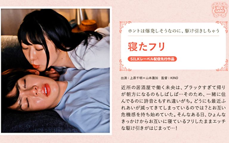 Pe skl0433 01 T1710126791